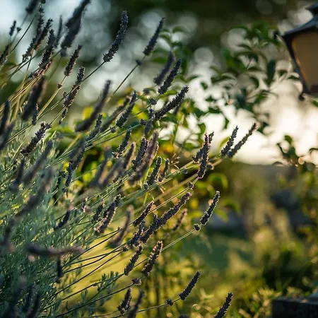 Juliastudios דירה *