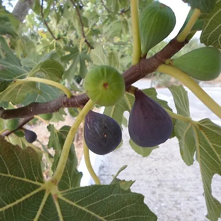 Juliastudios Apartment *