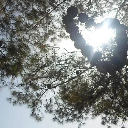 Juliastudios Lejlighed Amoudi