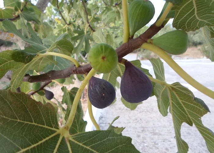 Juliastudios Appartamento *