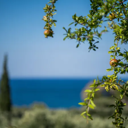 Appartamento Juliastudios Amoudi